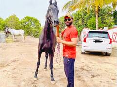 Ravindra Jadeja: ਰਵਿੰਦਰ ਜਡੇਜਾ ਫਾਰਮ ਹਾਊਸ 'ਤੇ ਮਨਾ ਰਹੇ ਛੁੱਟੀਆਂ, ਘੋੜ ਸਵਾਰੀ ਲਈ ਇੰਝ ਦਿਖਾਇਆ ਪਿਆਰ