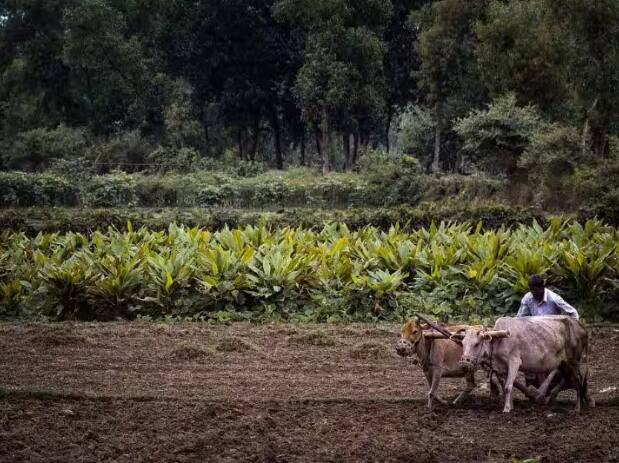 14th installment of PM Kisan Yojana will be transferred only to their bank accounts PM Kisan Samman Nidhi Yojana: ਸਿਰਫ਼ ਇੰਨੇ ਬੈਂਕ ਖਾਤਿਆਂ 'ਚ ਟਾਂਰਸਫਰ ਹੋਣਗੇ ਪੀਐਮ ਕਿਸਾਨ ਯੋਜਨਾ ਦੀ 14ਵੀਂ ਕਿਸ਼ਤ ਦੇ ਪੈਸੇ