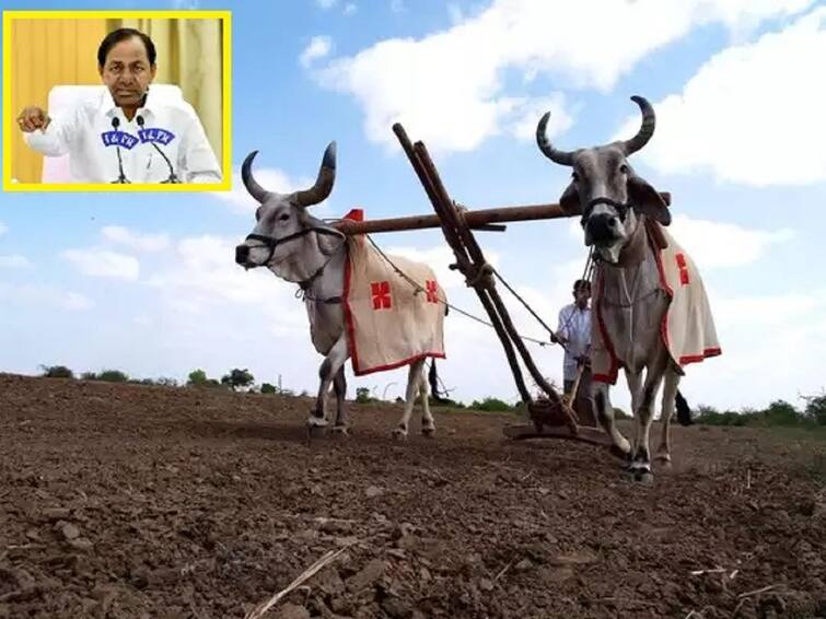 Telangana govt transfers rythu bandhu money form June 26 Rythu Bandhu: రైతుబంధు డబ్బులు వేయడానికి డేట్ ఫిక్స్, ఈసారి పోడు రైతులకు కూడా