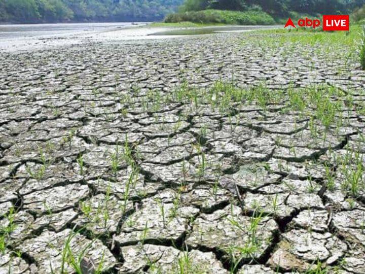 monsoon latest news maharashtra rain update agriculture seed sowing monsoon marathi news  Monsoon News: मान्सून रखडला, पेरण्या खोळंबल्या.... राज्यात अनेक ठिकाणी पेरण्याच नाहीत, जाणून घ्या कुठे काय परिस्थिती
