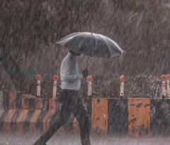 Tourist Place In Pune:  पावसाळ्यात भटकंतीला जाण्याचा विचार करताय? पुण्यातील या पर्यटनस्थळांना नक्की भेट द्या