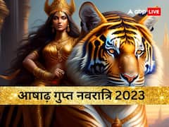 सिद्ध कुंजिका स्तोत्र के बगैर शून्यवत है हर उपाय या प्रयोग, गुप्त नवरात्रि में जरूर पढ़ें