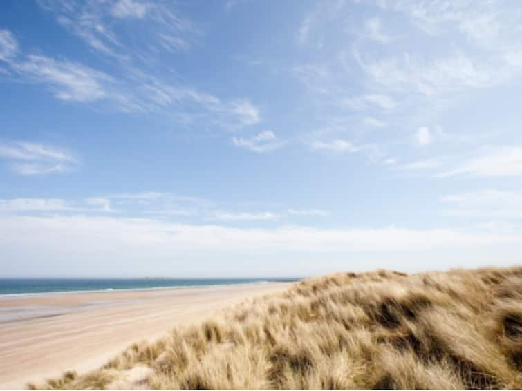 Sea Temperatures Above Normal Coasts Of UK And Ireland Likely To Remain High Due To El Nino Marine Heatwave Unheard Of High Sea Temperatures Have Led To A Marine Heatwave 'Unheard Of' Off Coasts Of UK And Ireland: Report