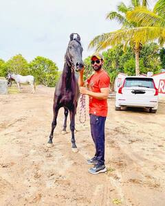 IN PHOTOS: ફાર્મહાઉસમાં વેકેશન એન્જોય કરી રહ્યો છે રવિન્દ્ર જાડેજા, ઘોડા સાથેની તસવીર શેર કરીને ગણાવ્યો ક્રશ