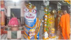 Lord Jagannath Falls Sick : అభిషేకాలు ఎక్కువగా చేయటంతో దేవుడికి జ్వరం | ABP Desam