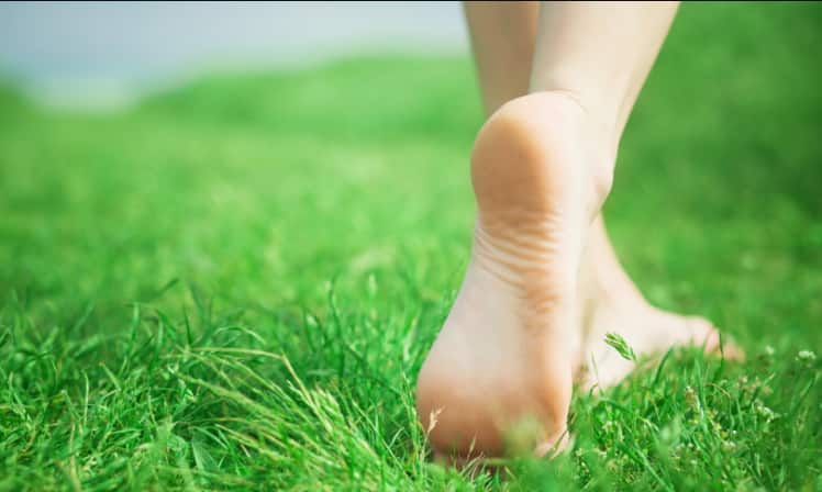 Treat these diseases by walking on the grass with bare feet instead of expensive medicines Health Tips: ਮਹਿੰਗੀਆਂ ਦਵਾਈਆਂ ਨਹੀਂ ਸਗੋਂ ਨੰਗੇ ਪੈਰੀਂ ਘਾਹ 'ਤੇ ਤੁਰ ਕੇ ਕਰੋ ਇਨ੍ਹਾਂ ਬਿਮਾਰੀਆਂ ਦਾ ਇਲਾਜ