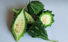 Lifestyle:স্বাদে তেতো, স্বাস্থ্যগুণে ভরপুর করোলার রস