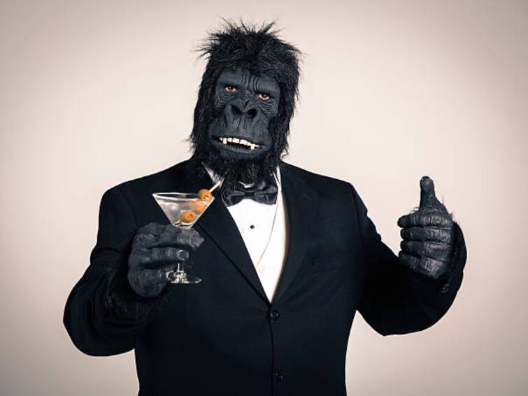Gorilla Temper Glass: கொரில்லா கிளாஸ் உங்கள் ஸ்மார்ட்போன் டிஸ்ப்ளேவை எவ்வாறு பாதுகாப்பாக வைத்திருக்கிறது?