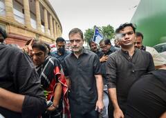 Rahul Gandhi Birthday: 53 के हुए राहुल गांधी, राजनीति में एंट्री से लेकर संसद की सदस्यता जाने तक... जानें सबकुछ