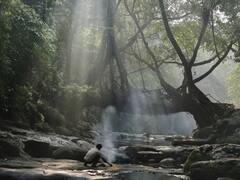 विदेश जाने से बेहतर घूम आएं यह जगह! सस्ते में ट्रिप हो जाएगा पूरा, देखें तस्वीरें