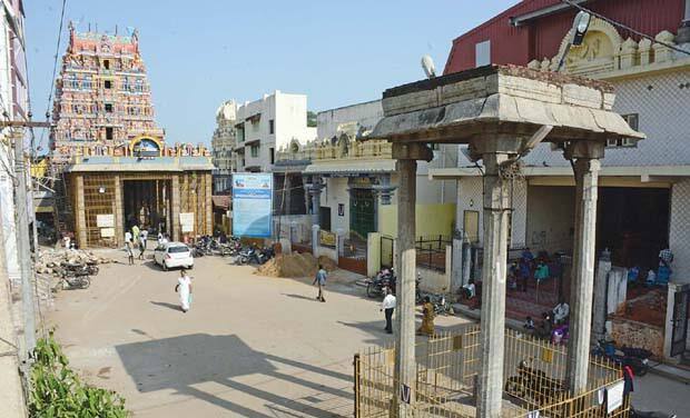 கனகவள்ளி அம்மையார், கணேச ஆழ்வார், கஜலட்சுமி தாயார், கோபாலன், நம்மாழ்வார், சக்கரத்தாழ்வார், ஆண்டாள், வேதாந்த தேசிகன், இராமானுச ஆச்சாரியார், லட்சுமி நரசிம்மர் ஆகியோருக்கு இங்கு தனித் தனியே சிறு ஆலயங்கள் கட்டப்பட்டுள்ளன.
