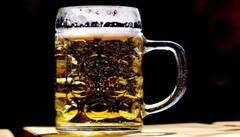 ਅਸਲੀ ਬੀਅਰ 'ਚ ਨੱਚਣ ਲੱਗਦੀ ਹੈ ਮੂੰਗਫਲੀ, ਜਾਣੋ ਇਸ ਦੇ ਪਿੱਛੇ ਕਿਹੜੀ ਸਾਇੰਸ ਕੰਮ ਕਰਦੀ ਹੈ 