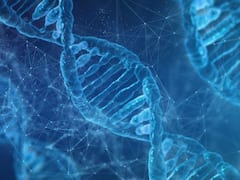 क्या डायनासोर की तरह इंसान भी विलुप्त होने वाले हैं, जानिए Y Chromosomes की नई थ्योरी क्या कहती है