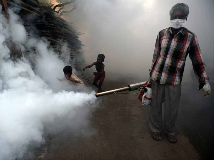 Kerala Health Minister Veena George Precautions Dengue Leptospirosis Cases See Spike Kerala Health Minister Asks People To Take Precautions As Fever Cases See Sudden Spike