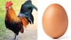ਪਹਿਲਾਂ ਮੁਰਗੀ ਆਈ ਜਾਂ ਆਂਡਾ ? ਵਿਗਿਆਨੀਆਂ ਨੇ ਸੁਲਝਾ ਲਈ ਇਹ ਪਹੇਲੀ, ਮਿਲ ਗਿਆ ਇਸ ਸਵਾਲ ਦਾ ਸਹੀ ਜਵਾਬ, ਤੁਸੀਂ ਵੀ ਦੇਖੋ