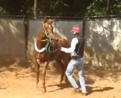 Funny Video: ਘੋੜੇ ਨਾਲ ਪੰਗਾ ਨਾ ਲਓ... ਜਦੋਂ ਉਸਨੂੰ ਗੁੱਸਾ ਆਉਂਦਾ ਹੈ, ਉਹ ਇਸ ਤਰ੍ਹਾਂ ਮਾਰਦਾ ਹੈ! ਵੀਡੀਓ ਵਿੱਚ ਵੇਖੋ