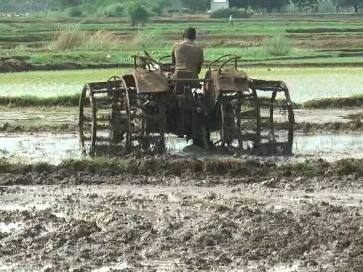 Theni news no rain Paddy Cultivation works are delayed first in Theni TNN தேனி: மழையில்லை... வானம் பார்க்கும் பூமி.. கால தாமதமாகும் முதல் போக நெல் சாகுபடி பணிகள்