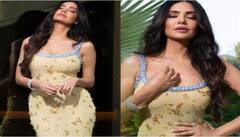 Esha Gupta Pics : 37 ਸਾਲ ਦੀ ਉਮਰ 'ਚ 'ਆਸ਼ਰਮ' ਦੀ ਇਸ ਹਸੀਨਾ ਨੇ ਵਧਾਇਆ ਇੰਟਰਨੈੱਟ ਦਾ ਪਾਰਾ, ਦਿੱਤੇ ਅਜਿਹੇ ਪੋਜ਼..