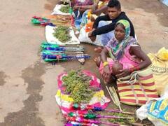 600 साल पुरानी परंपरा, जानिए क्या होती है बस्तर की तुपकी, दी जाती है भगवान जगन्नाथ को सलामी