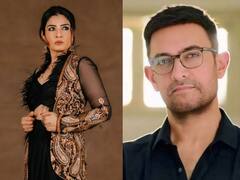 Raveena से लेकर Aamir तक, बीमार होने के बावजूद इन स्टार्स ने नहीं रोकी शूटिंग, दमदार एक्टिंग से जीता ऑडियंस का दिल