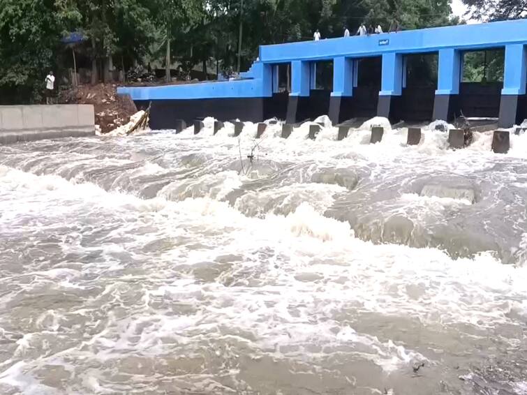 Cauvery water reached Mayiladuthurai the watershed of the district TNN Cauvery: கடைமடை வந்தடைந்த காவிரி - மயிலாடுதுறை விவசாயிகள் மகிழ்ச்சி