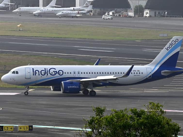 InterGlobe Shares Aviation Zooms To 52-Week High A Day After IndiGo Ordered 500 Airbus Shares Of InterGlobe Aviation Zoom To 52-Week High A Day After IndiGo Ordered 500 Airbus