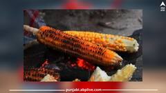 Health Tips: ਤੁਸੀਂ ਵੀ ਛੱਲੀ ਖਾ ਕੇ ਸੁੱਟ ਦਿੰਦੇ ਵਾਲ, ਅੱਜ ਤੋਂ ਨਾ ਕਰਿਓ ਇਹ ਗਲਤੀ, ਪੱਥਰੀ, ਬਲੱਡ ਪ੍ਰੈਸ਼ਰ, ਸ਼ੂਗਰ ਸਣੇ ਅਨੇਕਾਂ ਬਿਮਾਰੀਆਂ ਦੇ ਇਲਾਜ ਦਾ ਛੁਪਿਆ ਰਾਜ