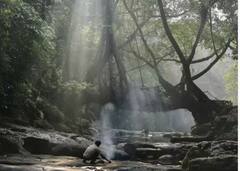 ਵਿਦੇਸ਼ ਜਾਣ ਨਾਲੋਂ ਬਿਹਤਰ ਘੁੰਮ ਆਓ ਇਹ ਜਗ੍ਹਾ ! ਸਸਤੇ 'ਚ ਟ੍ਰਿਪ ਹੋ ਜਾਵੇਗਾ ਪੂਰਾ , ਵੇਖੋ ਤਸਵੀਰਾਂ