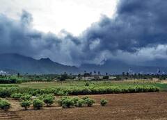 पुण्यासह महाराष्ट्रात कधी दाखल होणार मान्सून? पुणे वेधशाळेनं सांगितलं मान्सून लांबण्याचं कारण