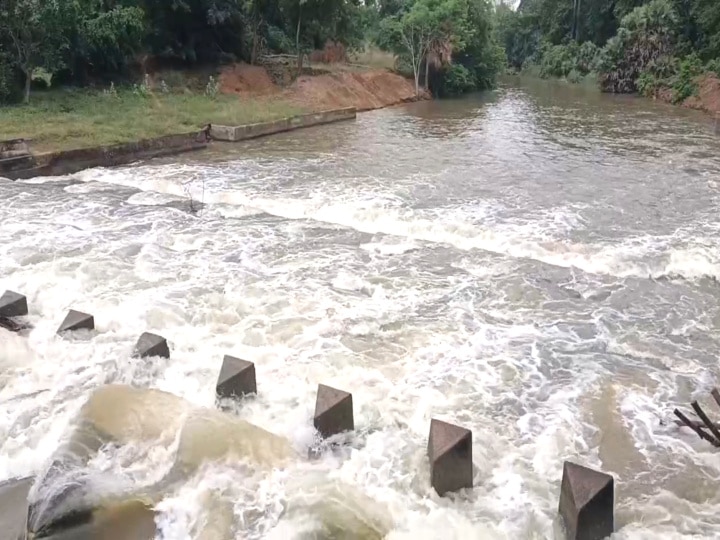 Cauvery: கடைமடை வந்தடைந்த காவிரி - மயிலாடுதுறை விவசாயிகள் மகிழ்ச்சி