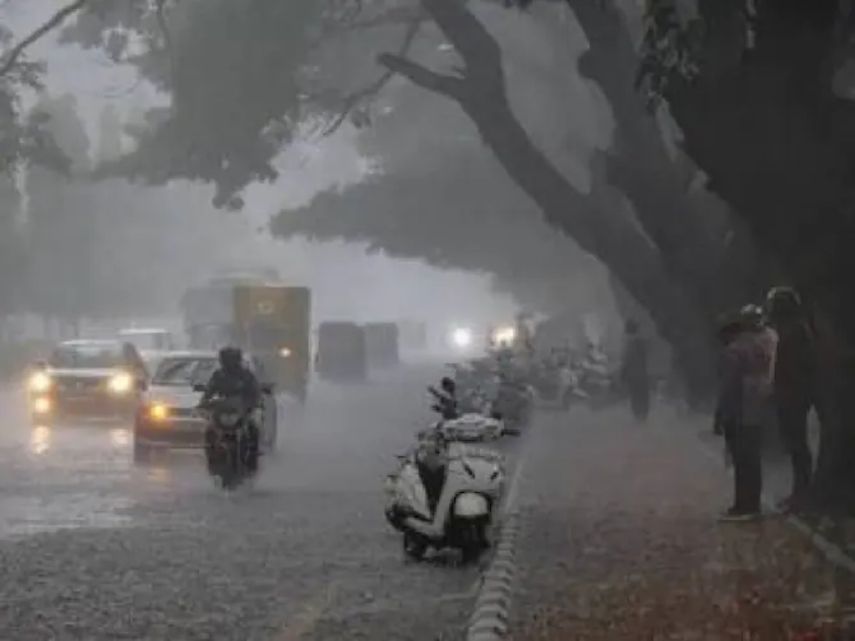 TN Rains: திருவண்ணாமலை மாவட்டத்தில் வெளுத்து வாங்கிய மழை  - மழை நிலவரம் இதோ