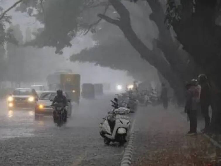 TN rain: Tiruvannamalai district heavy rains school holiday and rain status TNN TN Rains: திருவண்ணாமலை மாவட்டத்தில் வெளுத்து வாங்கிய மழை  - மழை நிலவரம் இதோ