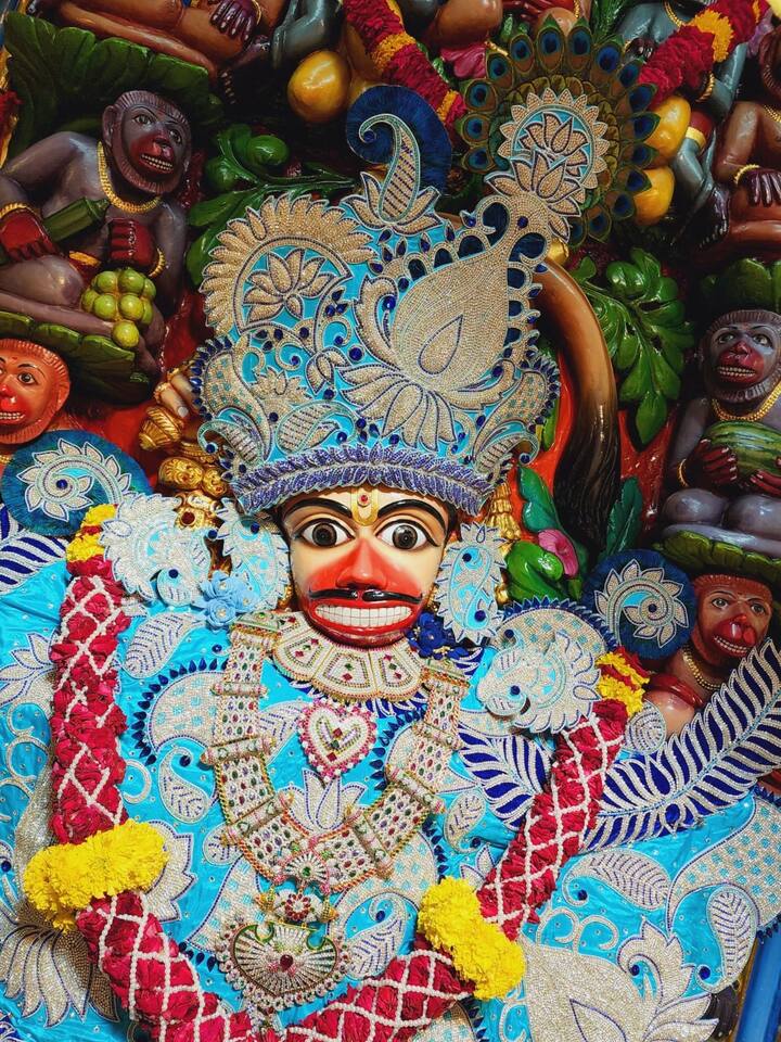 હજારો ભક્તોએ આ અનેરા દર્શનનો લાભ લઈ ધન્યતાનો અનુભવ કર્યો હતો.