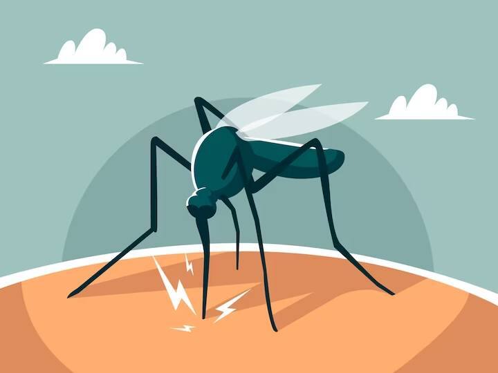 New chikungunya vaccine found 98 percent effective in human trials चिकनगुनिया वैक्सीन का तीसरा ह्यूमन ट्रायल हुआ सफल, एक डोज में बीमारी से मुक्ति