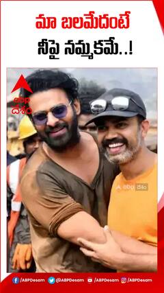 సలార్ పైనే ప్రభాస్ ఫ్యాన్స్ నమ్మకం