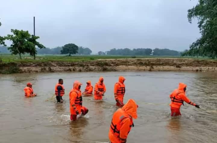 आसाममधील अनेक भागात मुसळधार पावसामुळे पूरस्थिती निर्माण झाली आहे.