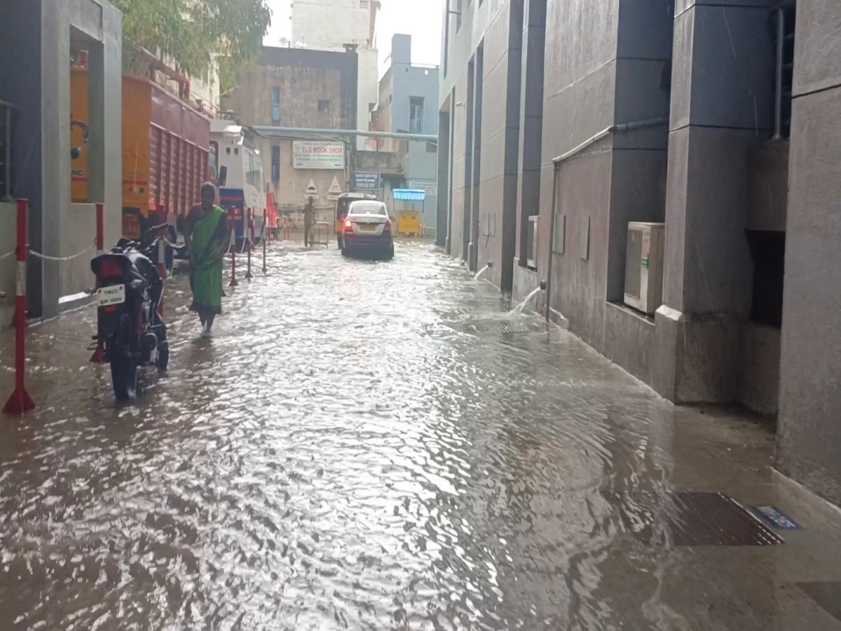 TN Rains: திருவண்ணாமலை மாவட்டத்தில் வெளுத்து வாங்கிய மழை  - மழை நிலவரம் இதோ