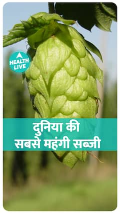 Most Expensive Vegetable in the world