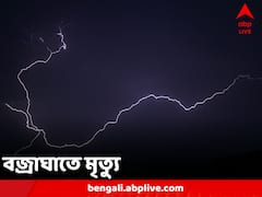 বর্ষার শুরুতেই ফের বিপত্তি, বাজ পড়ে মৃত দুই, আহত সাত