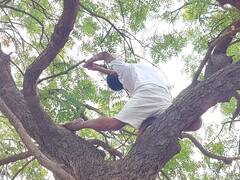 नांदगावमधील योग शिक्षक बाळू मोकळ यांच्याकडून कडुलिंबाच्या झाडावर योगासने,  51 योगासनांसह 11 वेळा सूर्य नमस्कार