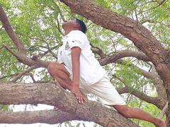 नांदगावमधील योग शिक्षक बाळू मोकळ यांच्याकडून कडुलिंबाच्या झाडावर योगासने,  51 योगासनांसह 11 वेळा सूर्य नमस्कार