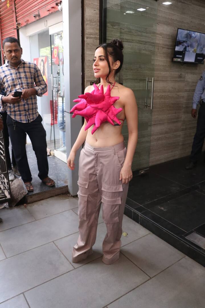 ఆమె చేసుకునే డ్రెస్సులు చూసి నెటిజన్స్ తలలు బాదుకుంటారు.