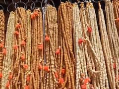 Ashadhi Wari 2023: विठुरायाच्या गळ्यात तुळशीहार अन् वारकऱ्याच्या गळ्यात तुळशीमाळ... पण तुमच्या गळ्यात चायना माळ तर नाही?