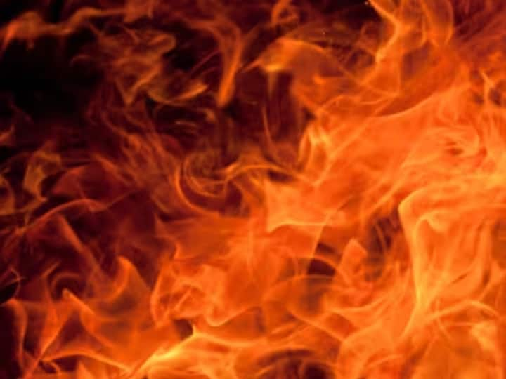 Delhi Fire News: Massive fire broke out in a 3-storey building in Delhi's Mayapuri area, Details Awaited Delhi Fire: दिल्ली के मायापुरी इलाके में बनी 3 मंजिला इमारत में लगी भीषण आग, फायर ब्रिगेड की 22 गाड़ियां मौके पर