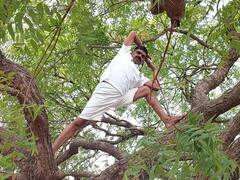 नांदगावमधील योग शिक्षक बाळू मोकळ यांच्याकडून कडुलिंबाच्या झाडावर योगासने,  51 योगासनांसह 11 वेळा सूर्य नमस्कार