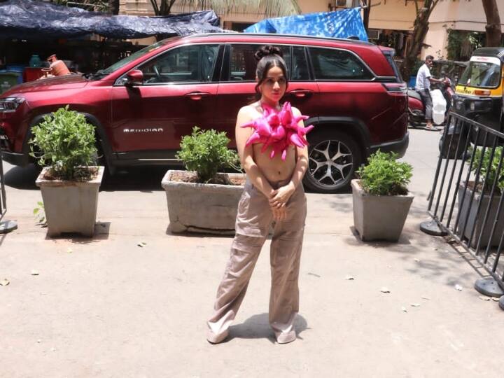 दरअसल, उर्फी मुंबई के अंधेरी में स्पॉट हुईं. इस दौरान उन्होंने कारगो के साथ एक पिंक कलर का टॉप पहना जिसपर सभी की नजरें ठहर गईं कि आखिर ये टॉप किस चीज से बनाया गया है.