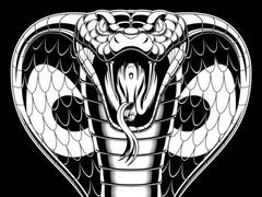 మీకు ఇలా జరిగితే కాలసర్ప దోషం ఉన్న‌ట్టే!