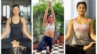 International Yoga Day 2023ની બોલિવૂડ સ્ટાર્સે પાઠવી શુભેચ્છા, વીડિયો શેર કરી જણાવ્યા ફાયદા