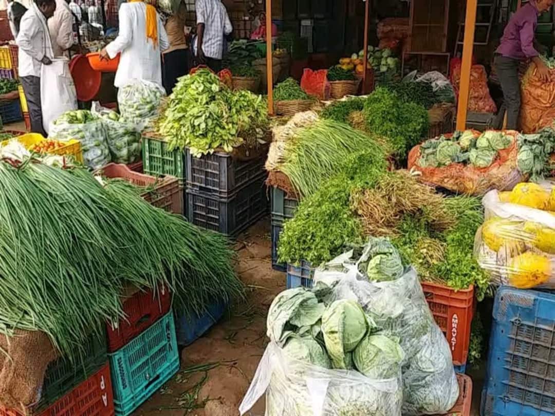 maharashtra news nashik news vegetable rate Hike Coriander is priced at