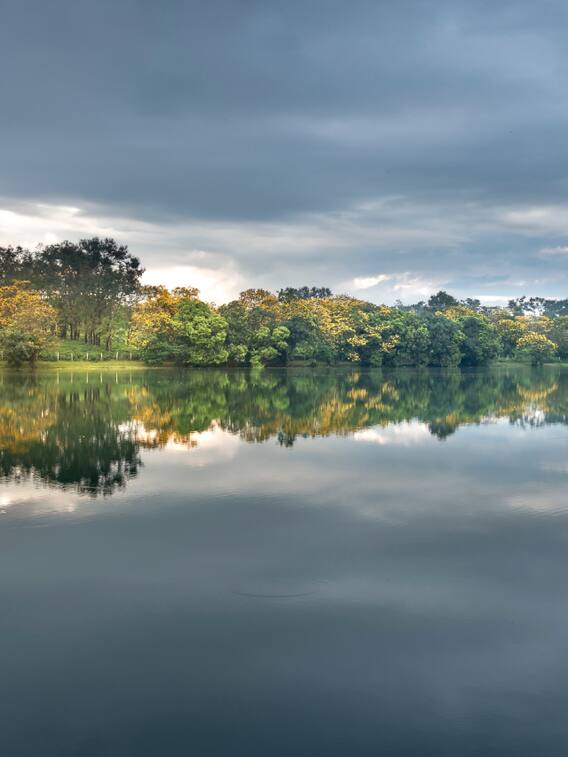 ये हैं बिहार की प्रमुख झीलें, एक बार जरूर जाएं